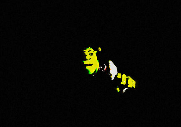 [Destroyed] Shrek's Basement: Classic (Early 2025)